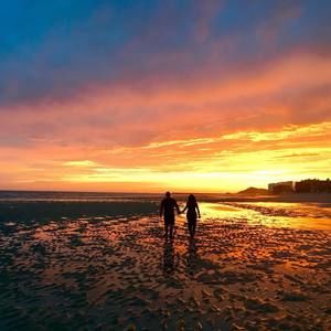 Meet your Posher, Priscilla